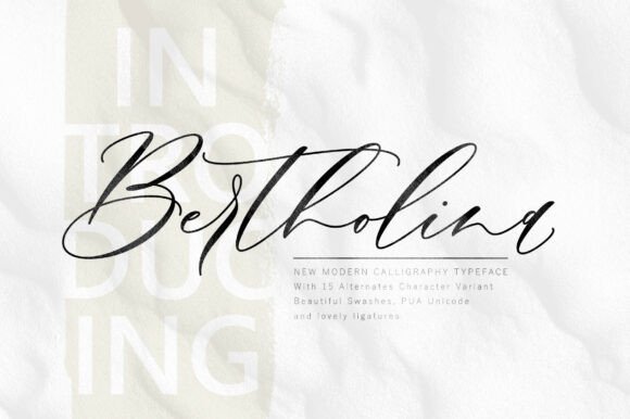 Bertholina: The Modern Script Typeface for Editorial Design