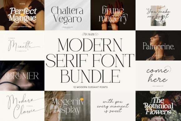 Modern Bundle Serif Font Collection for Brand Identity