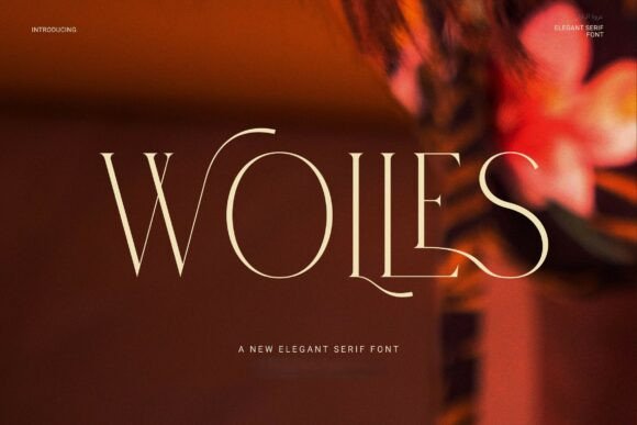 Wolles Elegant Modern Serif for Luxury Craft Projects